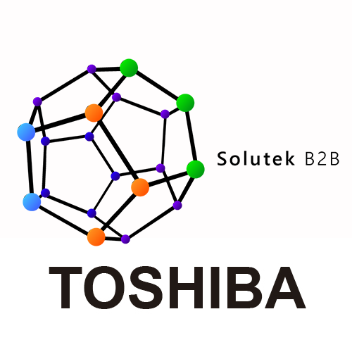 soporte técnico de computadores Toshiba